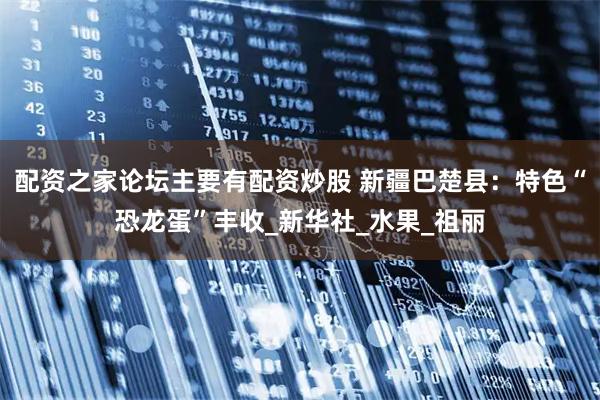 配资之家论坛主要有配资炒股 新疆巴楚县：特色“恐龙蛋”丰收_新华社_水果_祖丽