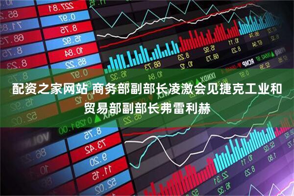 配资之家网站 商务部副部长凌激会见捷克工业和贸易部副部长弗雷利赫
