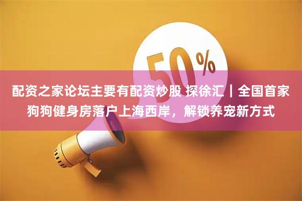 配资之家论坛主要有配资炒股 探徐汇｜全国首家狗狗健身房落户上海西岸，解锁养宠新方式