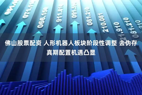 佛山股票配资 人形机器人板块阶段性调整 去伪存真期配置机遇凸显