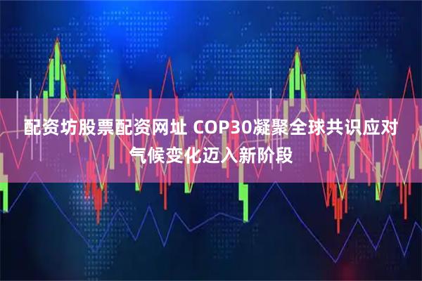 配资坊股票配资网址 COP30凝聚全球共识应对气候变化迈入新阶段
