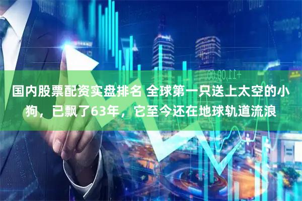 国内股票配资实盘排名 全球第一只送上太空的小狗，已飘了63年，它至今还在地球轨道流浪