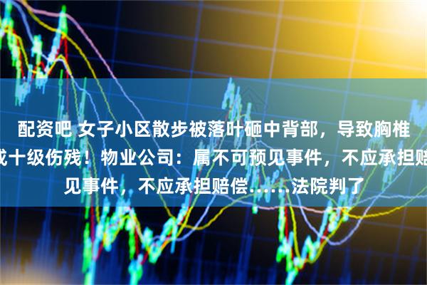 配资吧 女子小区散步被落叶砸中背部，导致胸椎、腰椎骨折，构成十级伤残！物业公司：属不可预见事件，不应承担赔偿……法院判了