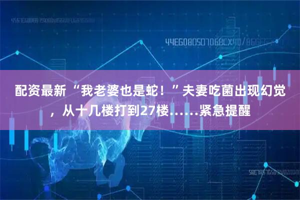 配资最新 “我老婆也是蛇！”夫妻吃菌出现幻觉，从十几楼打到27楼……紧急提醒
