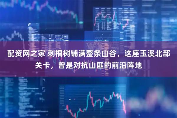 配资网之家 刺桐树铺满整条山谷，这座玉溪北部关卡，曾是对抗山匪的前沿阵地
